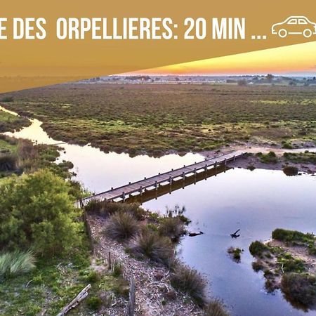 Centre Historique - Free Parking - Self Checkin - Wifi - Industriel - Sleepntripbeziers Apartment Bagian luar foto