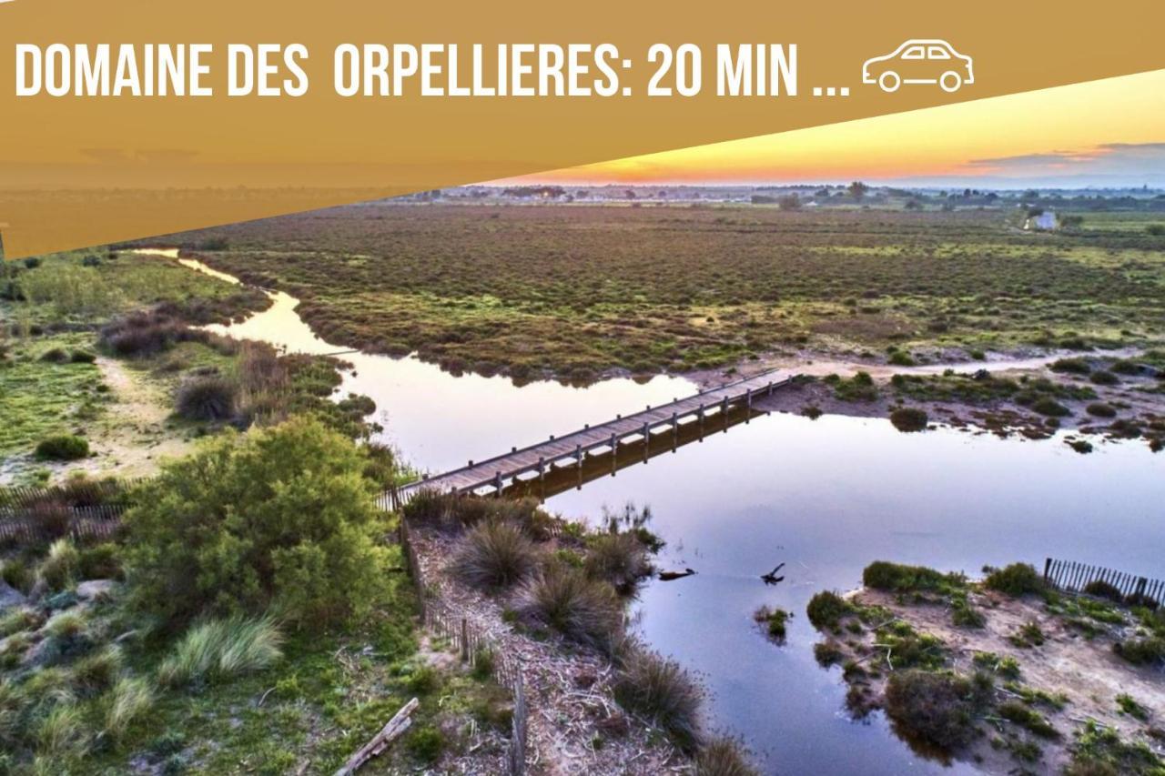 Centre Historique - Free Parking - Self Checkin - Wifi - Industriel - Sleepntripbeziers Apartment Bagian luar foto